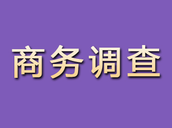 农安商务调查